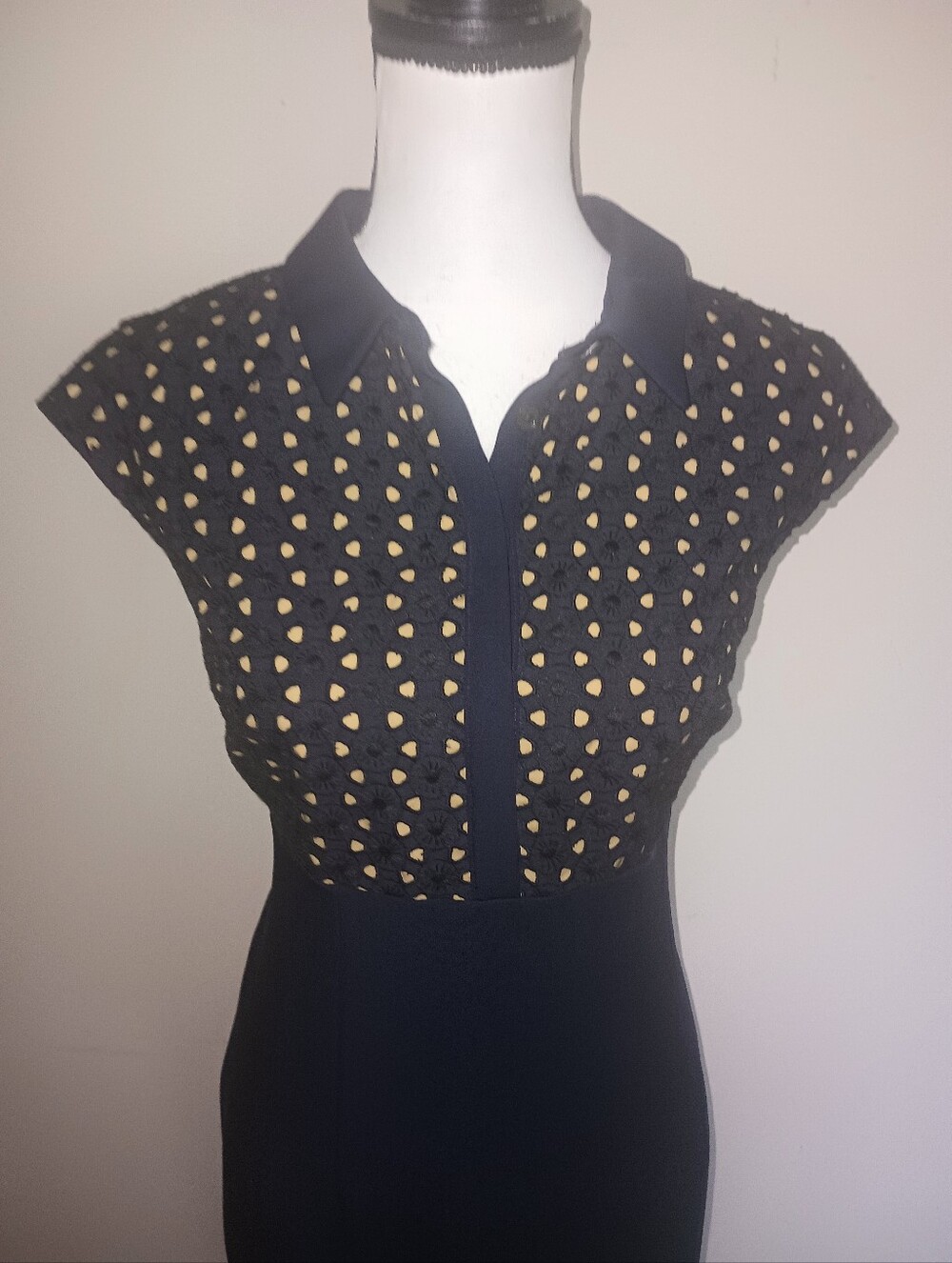 Ann Taylor Navy and Taupe Cap-Sleeve Sheath Dress